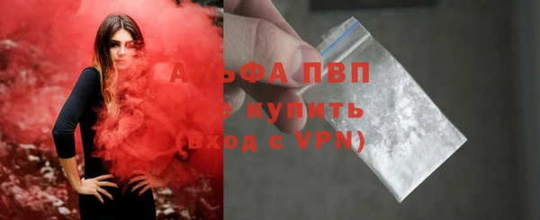 a pvp Магас
