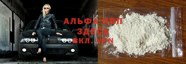 a pvp Магас