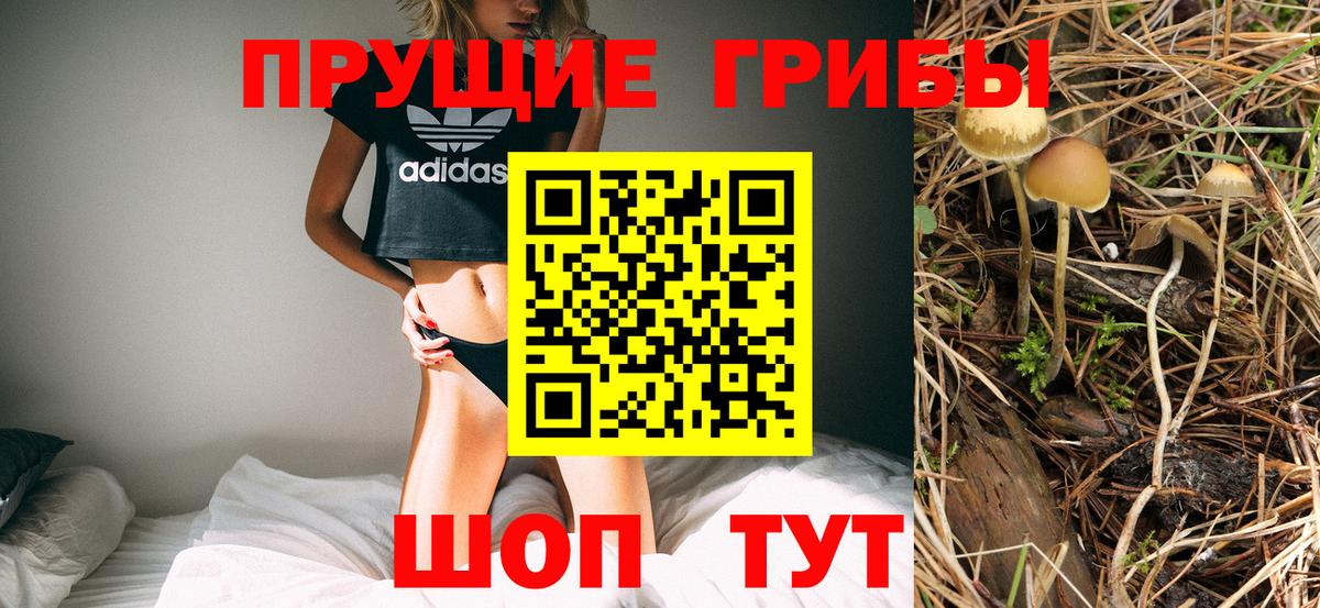 Галлюциногенные грибы прущие грибы  Вход с VPN  Чебаркуль  Галлюциногенные грибы прущие грибы 